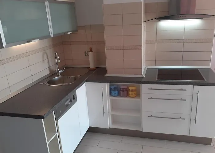 アパート Apartma Olea Sared イゾラ