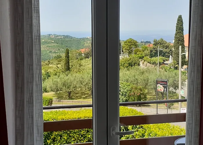 Apartma Olea Sared *